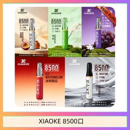 梟客XIAOKE一次性電子菸拋棄式8500口