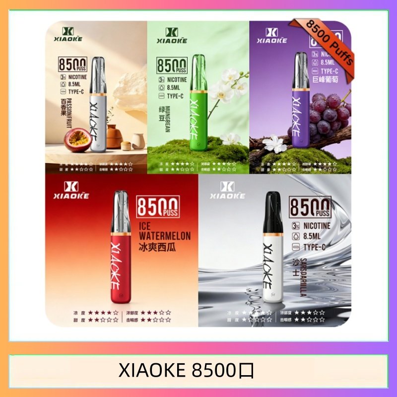 XIAOKE8500 梟客XIAOKE一次性電子菸拋棄式8500口